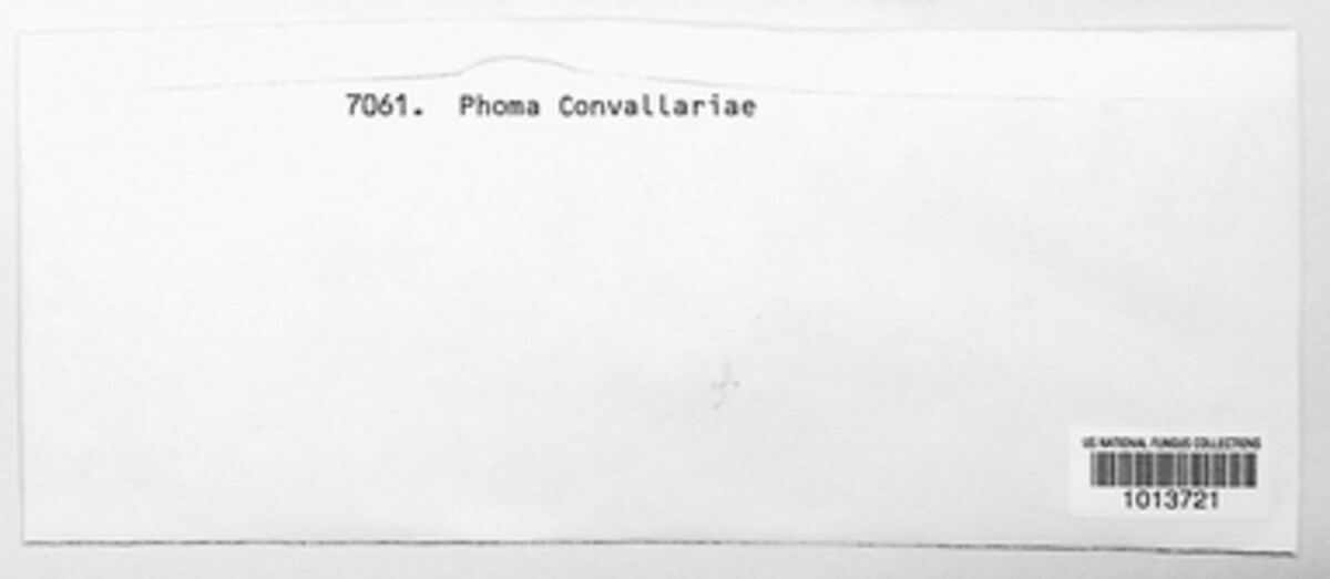 Phomopsis convallariae image